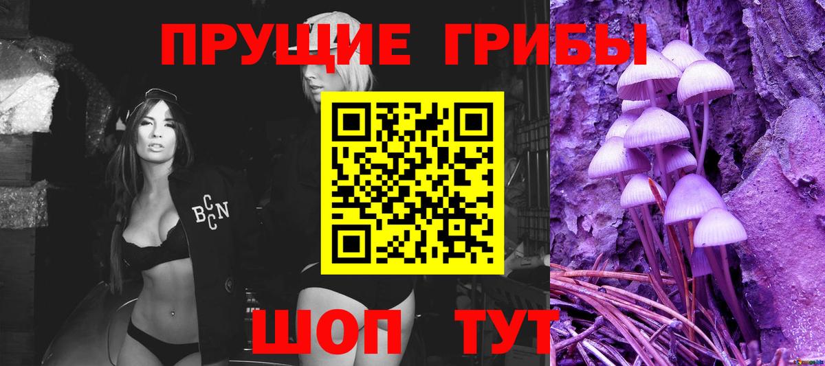 Галлюциногенные грибы Magic Shrooms  где купить   Углич  Псилоцибиновые грибы Magic Shrooms  Вход с VPN 