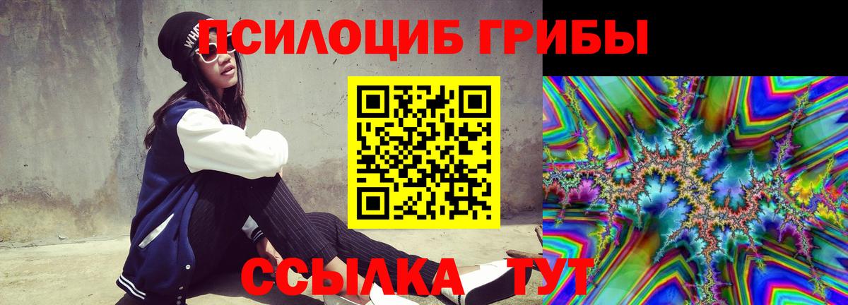 Псилоцибиновые грибы GOLDEN TEACHER Углич